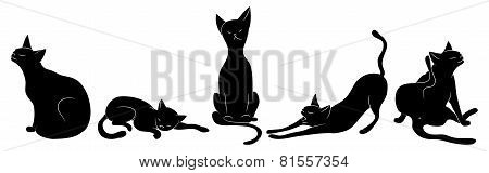 set of black cats