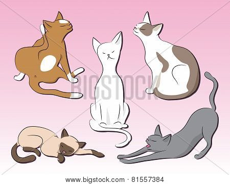 set of cats