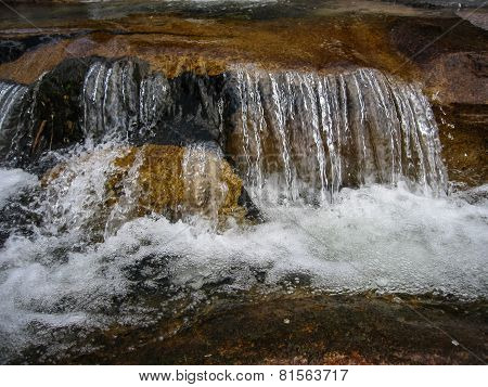 Pedrisa, Comunity Of Madrid, Spain