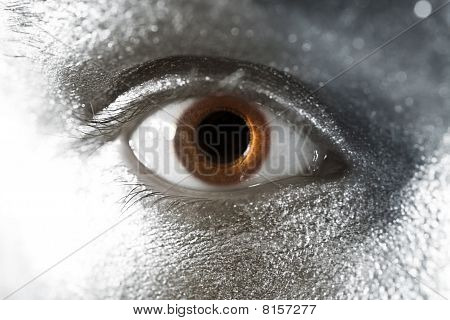 Yeux brun Closeup mâle