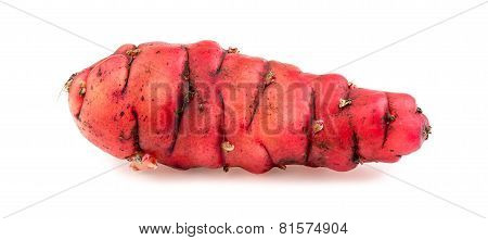 Whole Pink Oca Isolated On White