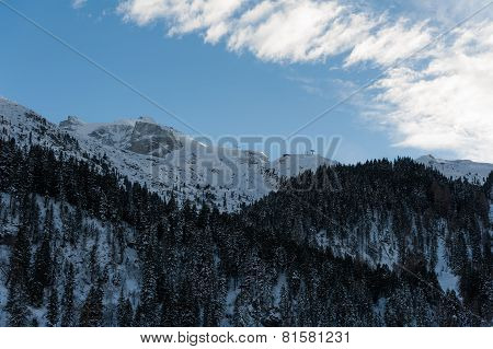 winter scenery