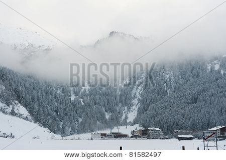 winter scenery