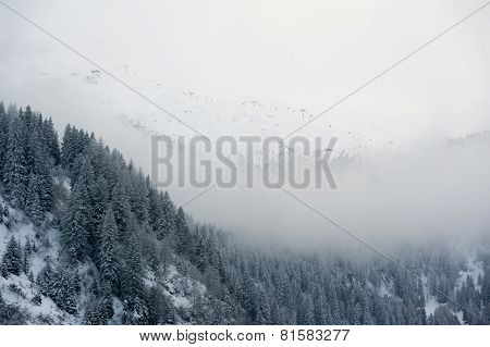 winter scenery