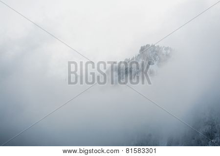 winter scenery