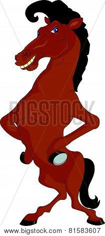 funny horse cartoon