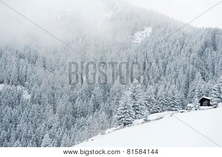 Winter scenery