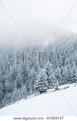 Winter scenery