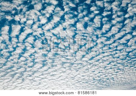 Cloudscape With Altocumulus Clouds