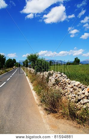 Road into the Blue 1