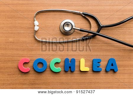 Cochlea
