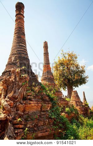 Sagar, Lake Inle, Myanmar