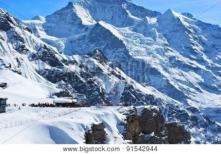 The Ski Resort