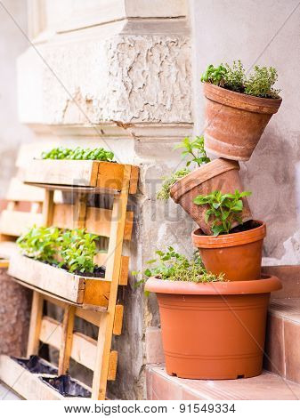 Mini gardening - several pots with plants stacked