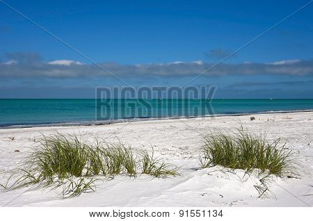 Beautiful Florida Coastline