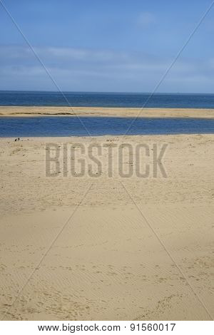 Chappaquiddick beach