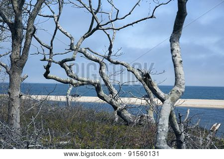 Chappaquiddick beach