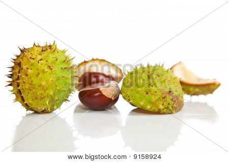 Zusammensetzung der Herbst Maronen und Blätter auf isolierte Hintergrund