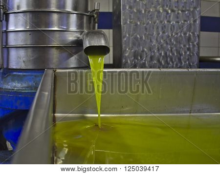 Fresh olive oil being pressed at the factory