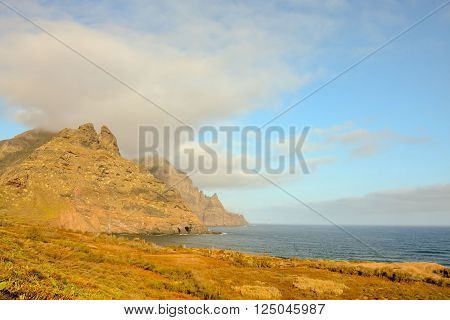 Photo Picture of the Beautiful Ocean Coast's View