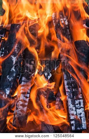 Bonfire with flame and ash close-up view