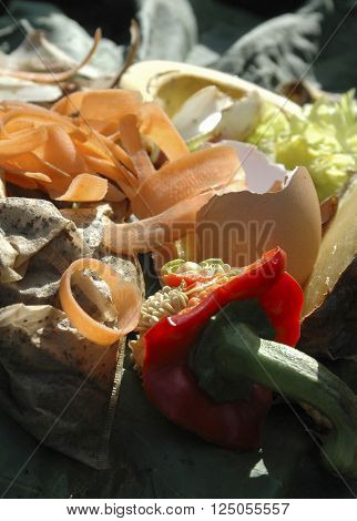 Kitchen Waste.