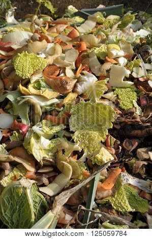 Compost Heap