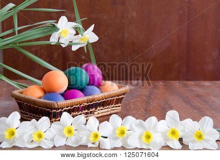 Easter eggs in a basket among the daffodils