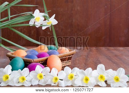 Easter eggs in a basket among the daffodils