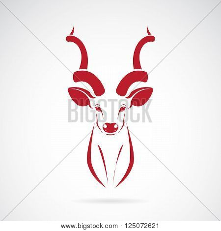 Vector image of an kudu antelope horns on white background
