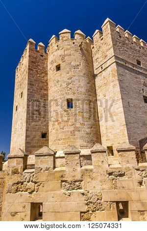 Ancient Calahorra Tower Roman Bridge Cordoba Spain  Roman bridge was built in the 1st Century BC.
