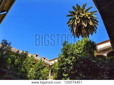 Old Courtyard Near Flower Street Calleja de las Flores Cordoba Andalusia Spain. Palm Tree Orange Tree Courtyard.