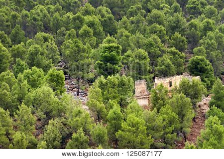 Moroccan ruins near Moulay Idriss, the holy town in Morocco, named after Moulay Idriss I, arrived in 789 bringing the religion of Islam