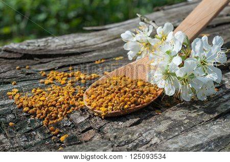 pollen in a wooden spoon with flowers