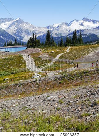 Hiking Trails at the top of Whistler Mountain