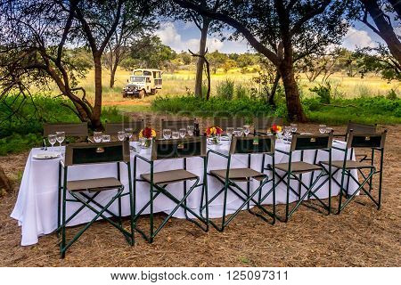 A safari game drive vehicle is parked close to a breakfast setting in the African bush. Tourists are treated to a bush breakfast after game viewing in the Cradle of Humankind South Africa.