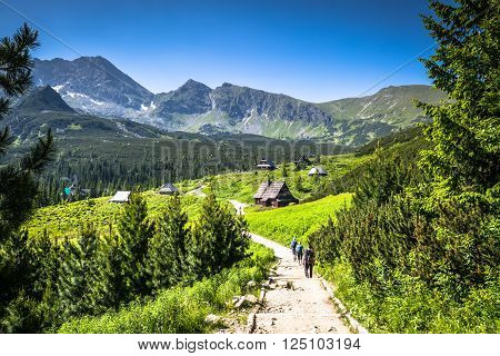 Hala Gasienicowa(Valey Gasienicowa) in Tatra mountains in ZakopanePoland
