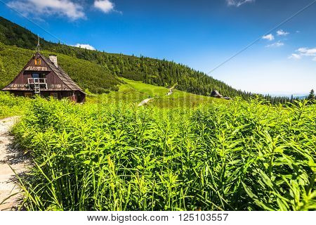 Hala Gasienicowa(Valey Gasienicowa) in Tatra mountains in ZakopanePoland