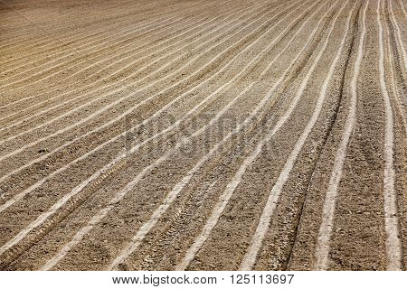 Agricultural Field, Which Was Plowed For Sowing Crops. Spring