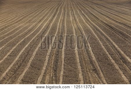 Agricultural Field, Which Was Plowed For Sowing Crops. Spring