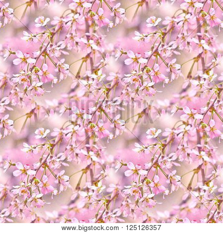Spring floral seamless pattern. Seamless natural texture with blossom tree branches. Spingtime in garden. Blooming twigs.