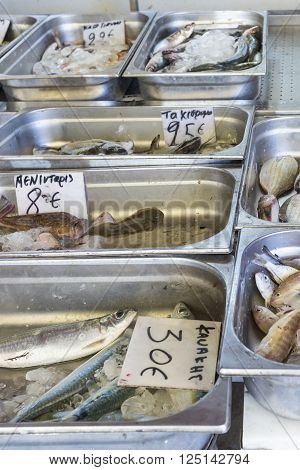 Fresh Fish In The Fish Market - Greece