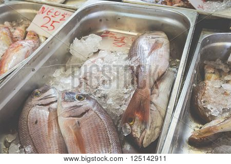 Fresh fish in the fish market - Greece
