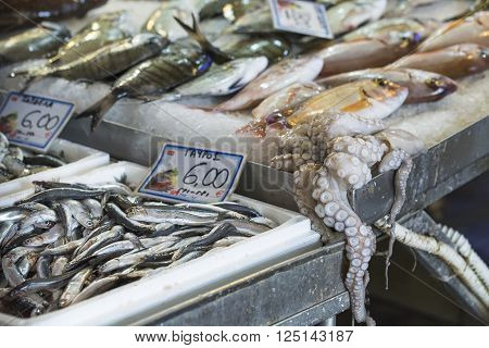 Fresh Fish In The Fish Market - Greece