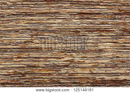 closeup of old wood planks texture background