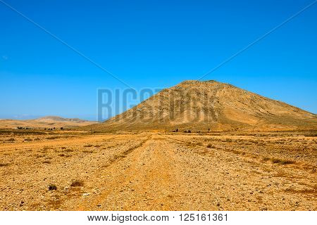 Photo Picture of a Countryside Desert Dirt Path