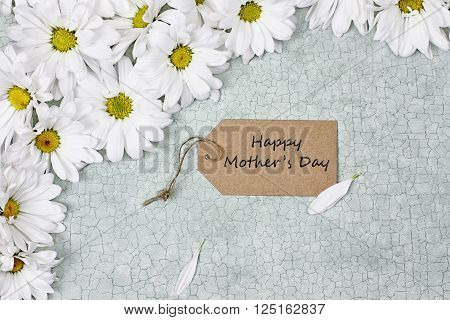 Mothers Day card and daisies shot from above.