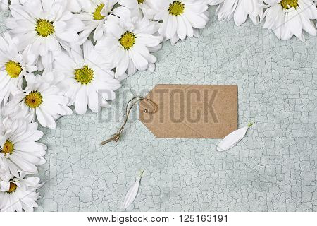Blank card and daisies over green craquelure background with room for your text.