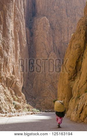 Carrier woman walking by Todgha Gorge a canyon in the eastern part of the High Atlas Mountains in Morocco