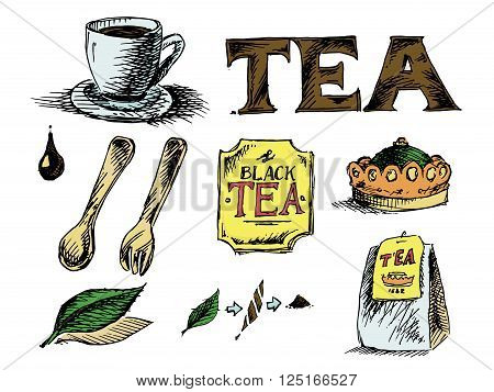 Tea Icons Set on White Background. Hand drawn colorful vector stock illustration